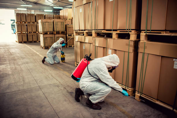 Best Pest Removal Services  in Tempe, AZ