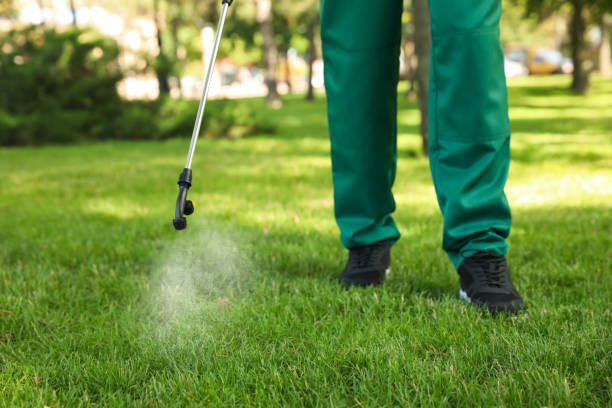 Best Pest Control Near Me  in Tempe, AZ