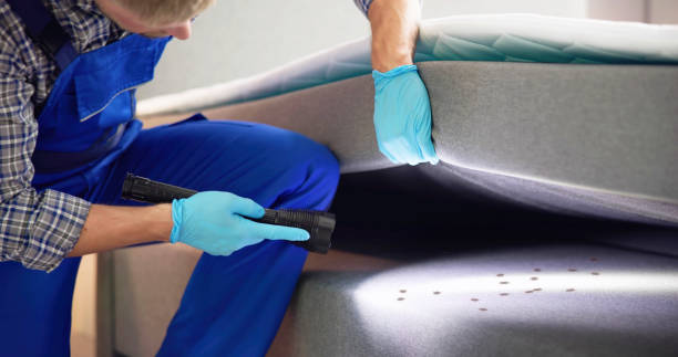 Best Flea Control Services  in Tempe, AZ