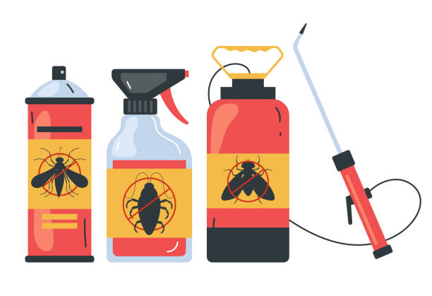 Best Affordable Pest Control Services  in Tempe, AZ