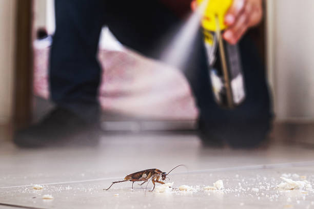 Best Best Pest Control Companies  in Tempe, AZ